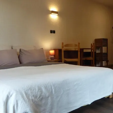 Les Pucines Bis Bas De 29 M2 Luxe Rez De Jardin Climatisation Plein Sud *
