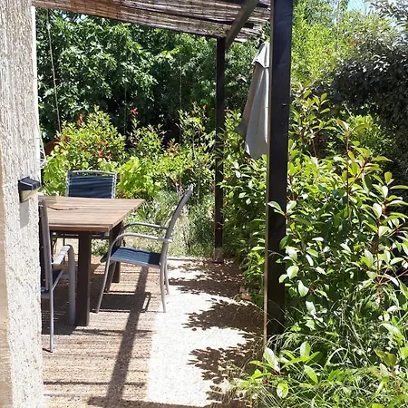 شقة Les Pucines Standing 29 M2 Rez De Jardin Climatisation Plein Sud